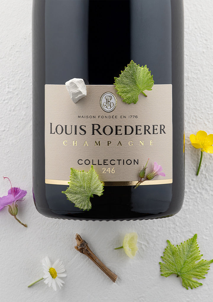 Louis Roederer Collection 246 Champagne