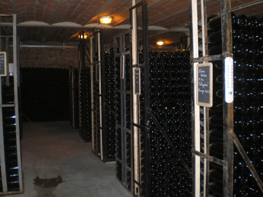 Ladoix "Les Chaillots" 2012 - Domaine Jean Pierre Maldant - Bourgogne-TastingClub