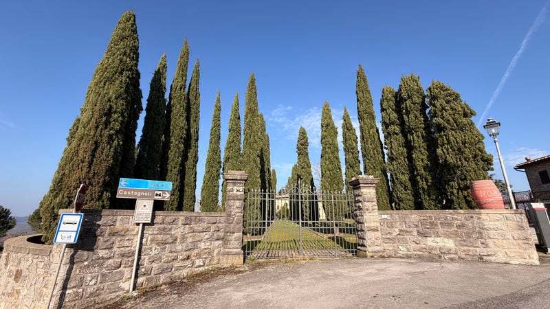 Rocca di Castagnoli