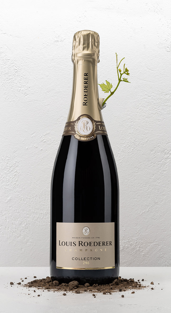 Louis Roederer Collection 246 Champagne