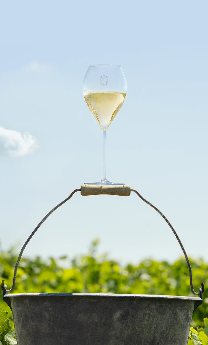 Louis Roederer Collection 246 Champagne