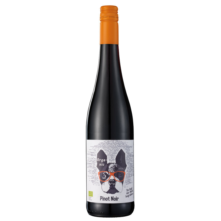 Der Hund Pinot Noir - Pfalz